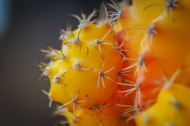 Similar image 21457040