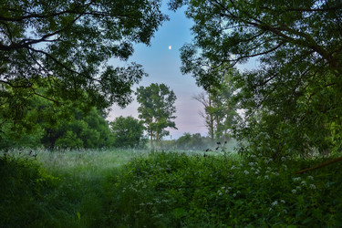 Similar image 21457042