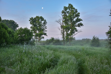 Similar image 21457203