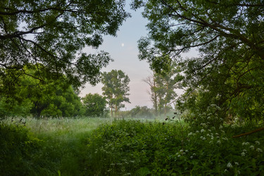 Similar image 21454539