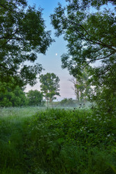 Similar image 21454540