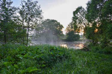 Similar image 21454541