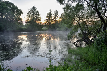 Similar image 21454542