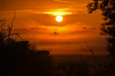 Similar image 21454543