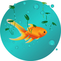 Similar image 21459454