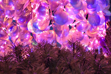 Similar image 21454934