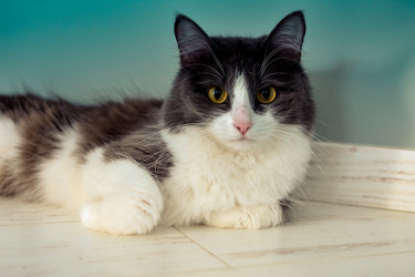 Similar image 21454937