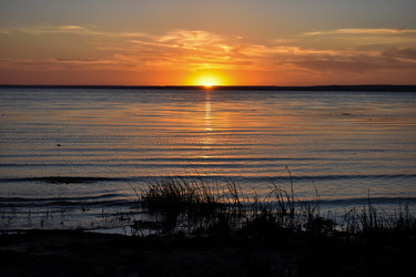 Similar image 21454950