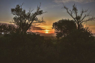 Similar image 21454961