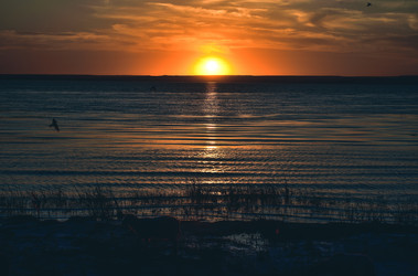 Similar image 21454965