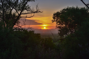 Similar image 21454967