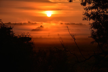 Similar image 21454980