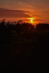 Similar image 21454981