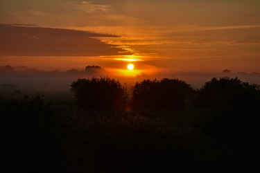 Similar image 21454984