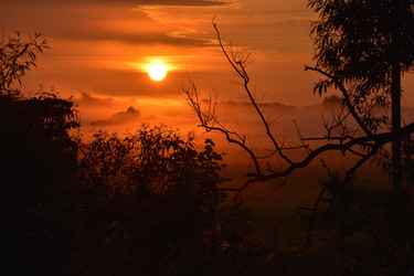 Similar image 21454990