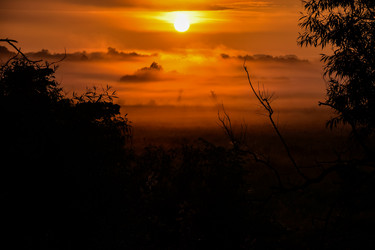 Similar image 21455002