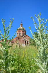 Similar image 21455003