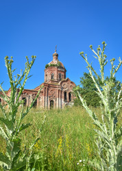 Similar image 21455006