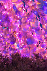 Similar image 21455015