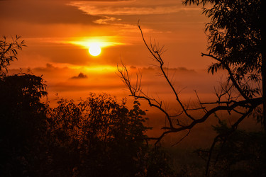 Similar image 21455016