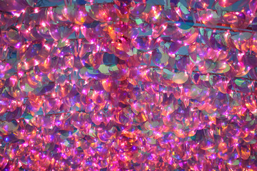 Similar image 21455025