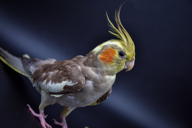 Similar image 21456810