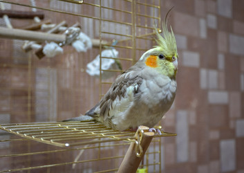 Similar image 21456812