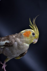 Similar image 21456813