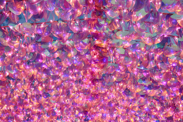 Similar image 21457046