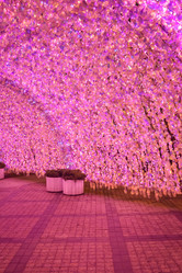 Similar image 21457051