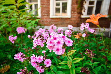 Similar image 21457052