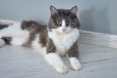 Similar image 21457057