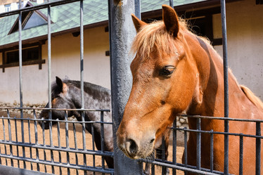 Similar image 21457060