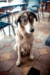 Similar image 21457061