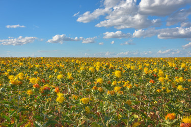 Similar image 21457062