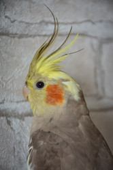 Similar image 21457072