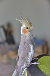 Similar image 21457074