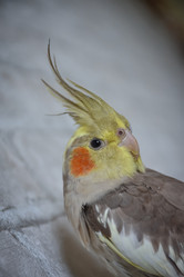 Similar image 21457078