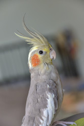 Similar image 21457081