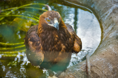 Similar image 21454546