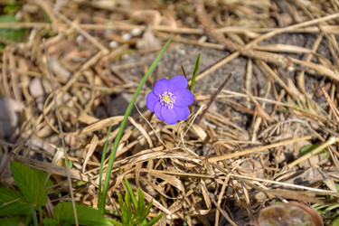 Similar image 21454548