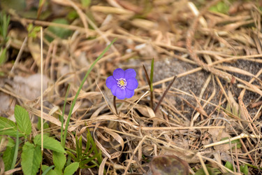 Similar image 21454554