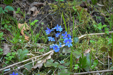 Similar image 21455028