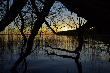 Similar image 21455049