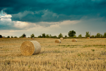 Similar image 21455064