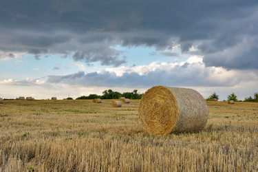 Similar image 21455067