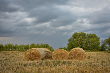 Similar image 21455069