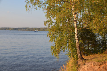 Similar image 21455081