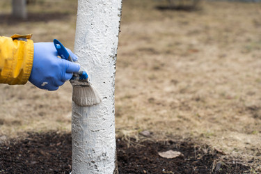 Similar image 21446974