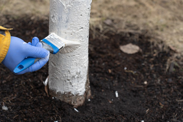 Similar image 21446975